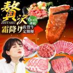 佐賀牛 贅沢 霜降り 定期便 牛肉