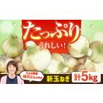 玉ねぎ 約5kg