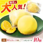 レモンケーキ 10個入AHCR003