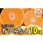 有田みかん 約10kg