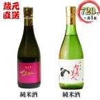 日本酒 ちえびじん 純米酒+智恵美人 純米酒