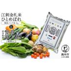 ふるさと納税 江刺金