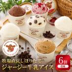まきばのジャージーアイスの大人セット6個入り