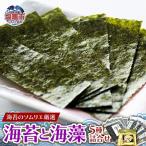 海苔のソムリエ厳選の海苔海藻5種詰合せ