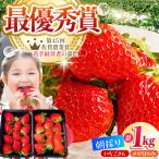 いちごさんさがほのか計4パック1kg