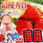 朝摘みいちご いちごさん 500g