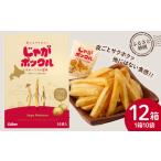 ふるさと納税 北海道限定カルビーじゃがポックル(10袋入り 12箱) お菓子 スナック菓子 じゃがいも 北海道ふるさと納税 北海道千歳市