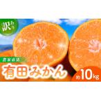 ふるさと納税 【訳あり】農家直送 有田みかん 約10kg ご家庭用 サイズ混合 ※2025年11月中旬から2026年1月中旬までに順次発送予定※北海道・.. 和歌山県すさみ町