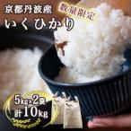 訳あり 亀岡産いくひかり 5kg×2袋
