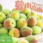 4Lまたは3L-2Kg 熟南高梅 梅 ウメ
