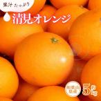 清見オレンジ約5kg 果実サイズおまかせ※2027年2月中旬~4月…