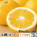 八朔 はっさく 約5kg