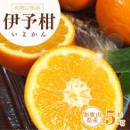 伊予柑 いよかん 約5kg