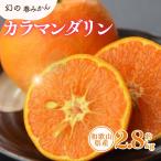 カラマンダリン 約2.8kg