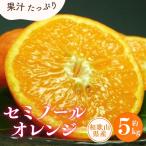 セミノールオレンジ 約5kg