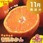 こだわりの有田みかん 約8kg+250g