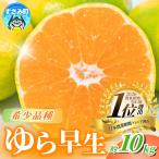 みかん ゆら早生みかん サイズ混合 10kg