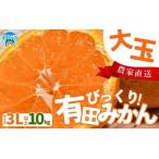 有田みかん 約10kg
