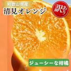 紀州有田産清見オレンジ 7.5kg