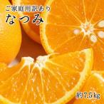 初夏のみかん なつみ7.5kg