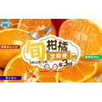 のみかんを集めた 旬の柑橘定期便 みかん