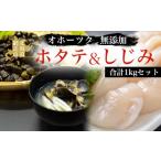 ふるさと納税 オホーツク無添加ホタテ&しじみ合計1kgセット【 ふるさと納税 人気 おすすめ ランキング 帆立 ほたて ホタテ 帆立貝柱 ほたて.. 北海道網走市