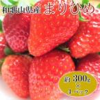 ふるさと納税 【2月発送】和歌山県産ブランドいちご「まりひめ」約300g×4パック入り◇|苺 産地直送 果物 フルーツ ふるさと納税 いちご .. 和歌山県美浜町