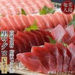 クロマグロ 奄美大島産高級食材 黒いダイヤ