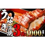ふるさと納税 ふっくらジューシー 有頭 うなぎ蒲焼 3尾 合計1000g前後 SF012-2 福岡県須恵町