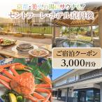 宿泊券 ホテル 美人の湯にサウナも セントラーレ