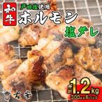 ホルモン 1.2kg
