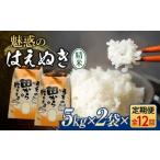 定期便 全12回 令和6年産 魅惑のはえぬき10kg 5kg×2