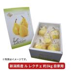 ル レクチェ 自家用 3kg