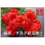 fu.... налог [ Hokkaido корень . производство ].. длина цветок .gani5~6 хвост ( итого 1.6kg передний и задний (до и после) )( наклон рейс ) A-57052 Hokkaido корень . город 