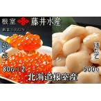 ふるさと納税 【北海道根室産】いくら醤油漬80g×2P、お刺身帆立貝柱500g B-42087 北海道根室市