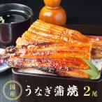 うなぎ蒲焼 400g