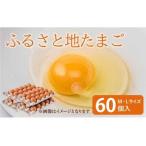 fu.... налог яйцо .... земля Tama .60 шт (M*L размер ) яйцо красный Tama .10 шт повреждение возмещение содержит Kumamoto префектура . замок город 