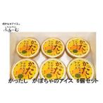 かったし かぼちゃのアイス 6個セット 南瓜アイス