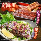 土佐の海 川 土佐和紙包装 うなぎ蒲焼と鰹たたきセット