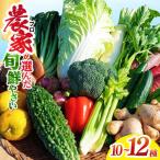土佐季節の野菜詰め合せセット 野菜セット