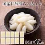 らっきょう10袋 ピリ辛 らっきょう