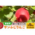 ショッピングふるさと納税 訳あり 傷 ふるさと納税  【25年12月〜発送】りんご サンふじりんご 狼の葉とらず 約5kg（12玉〜20玉程度）家庭用【訳あり】 青森県弘前市