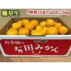 極早生 有田みかん 約5kg
