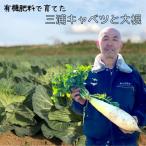 有機肥料 で 育てた キャベツ と 大根 セット