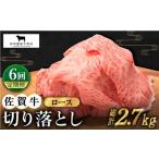 佐賀牛 ロース切り落とし450g HBH067