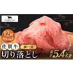 佐賀牛 ロース切り落とし450g HBH068
