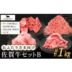 牛肉 ロース 毎日の料理に おふたりさま向け 佐賀牛 普段使いセットB