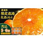 ふるさと納税 紅まどんな（5-6個）【11月下旬から順次発送】 紅まどんな みかん [AGBA003] 愛媛県大洲市