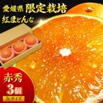 紅まどんな 3個