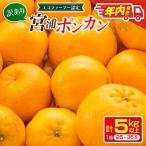 年内発送 訳あり 宮浦 ポンカン 5kg